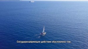 Антиангинальные средства