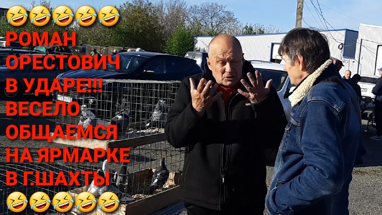 🤣🤣🤣 Роман Орестович в ударе!!! Весело общаемся с Романом Галавиным на ярмарке голубей в г.Шахты. смотреть онлайн