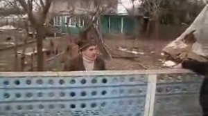 Миша (online-video-cutter.com)