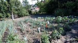29-05-2026 внуки приехали