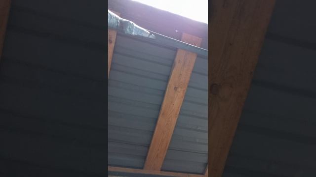 Выжывание Часть 2 смотреть онлайн