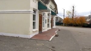 На прогулке с Костиком в городе Семилуки 10.11.2020 - по верхней части города