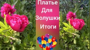 ПЛАТЬЕ ДЛЯ ЗОЛУШКИ ИТОГИ
