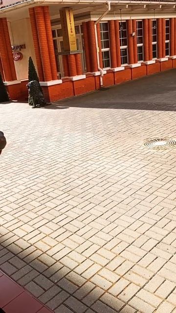 Отель «Самбия» на побережье Балтийского моря.