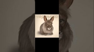 книга Горное племя и беспризорник