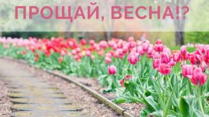 Последний весенний закат. Шикарная музыкальная открытка.