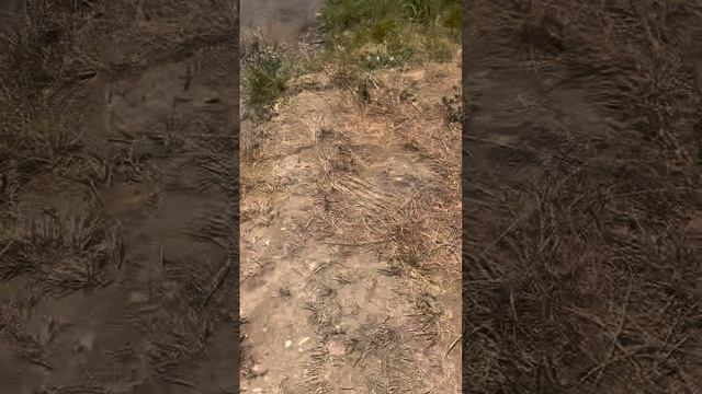 Евочке 3 года смотреть онлайн
