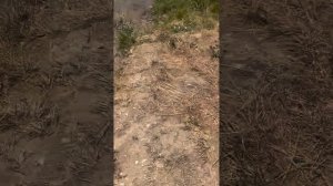 Евочке 3 года
