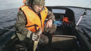 ОНЕЖСКОЕ ОЗЕРО 23.06.2025 ТРОЛЛИНГ Судака и кто еще попадется )