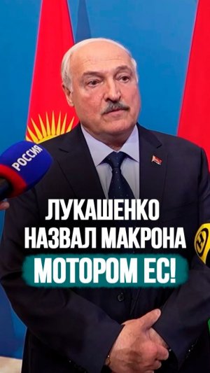 «Аксакал, начинай шевелиться!» // Лукашенко дал совет Макрону #shorts