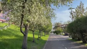 И в глазах васильки.Ярыгинская набережная .
Красноярск