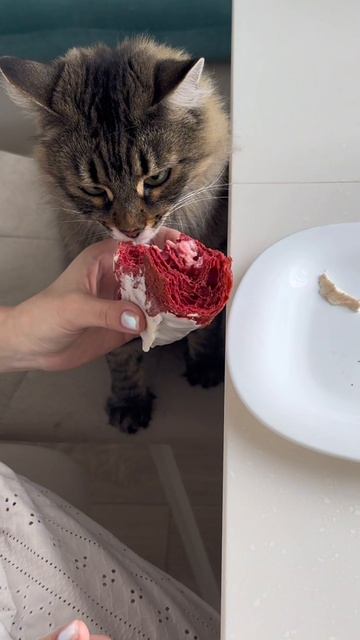 Поделитесь🐱 смотреть онлайн