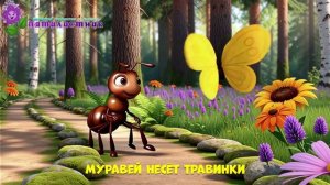 НАСЕКОМЫЕ