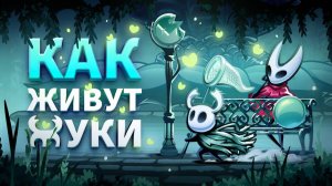 КАК ЖИВУТ в Hollow Knights
