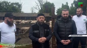 Свыше 42 тысяч голов скота распределено в ЧР и Мекке в рамках благотворительной акции