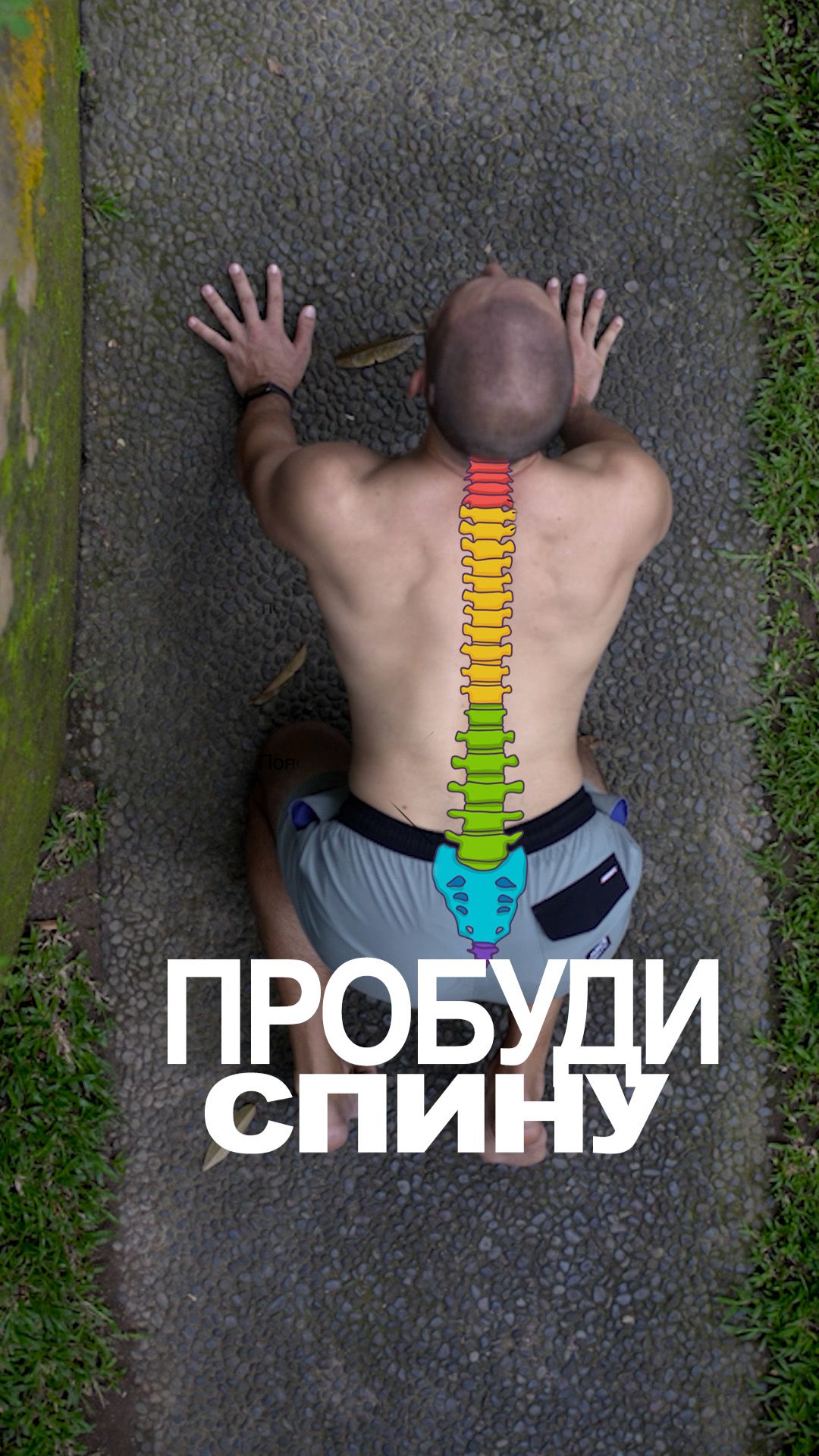 Хочешь жить без боли в спине?