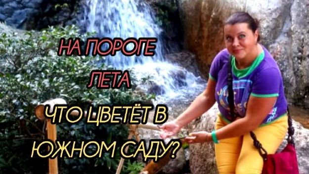 Июнь. Прогулка по маленькому Южному саду #9   Цветение гвоздики, злаков, посторонних и роз.