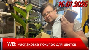 Распаковка покупок с WB для цветов! Январь 2026 года!
