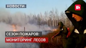 Лесные пожары в Хабаровском крае тушат региональные и федеральные силы. 29/05/2026.