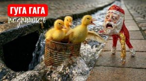НЕВЕРОЯТНОЕ СПАСЕНИЕ Гугу Гага  спасает утят из опасной ситуации. Развлечения и челленджи.
