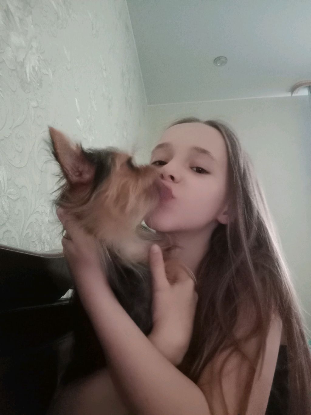 любимки смотреть онлайн