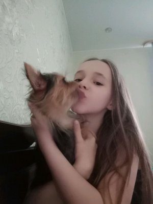 любимки