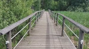 Решетников пруд в Одинцово