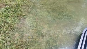 Прикормочный кораблик D16B - D. Первый выход на воду.