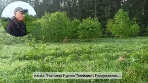Электролит нельзя,бражку можно...иногда