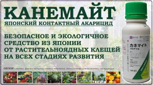Канемайт – интересное японское средство от растительноядных клещей. Обзор контактного акарицида