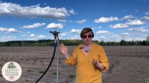 Реалити-шоу «Будни начинающего питомниковода» – Дела в питомнике в мае. Часть 35.