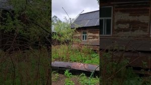 непогода на улице