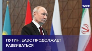 ЕАЭС продолжает развиваться, заявил Путин