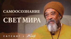 Муджи: Самоосознание - Свет мира