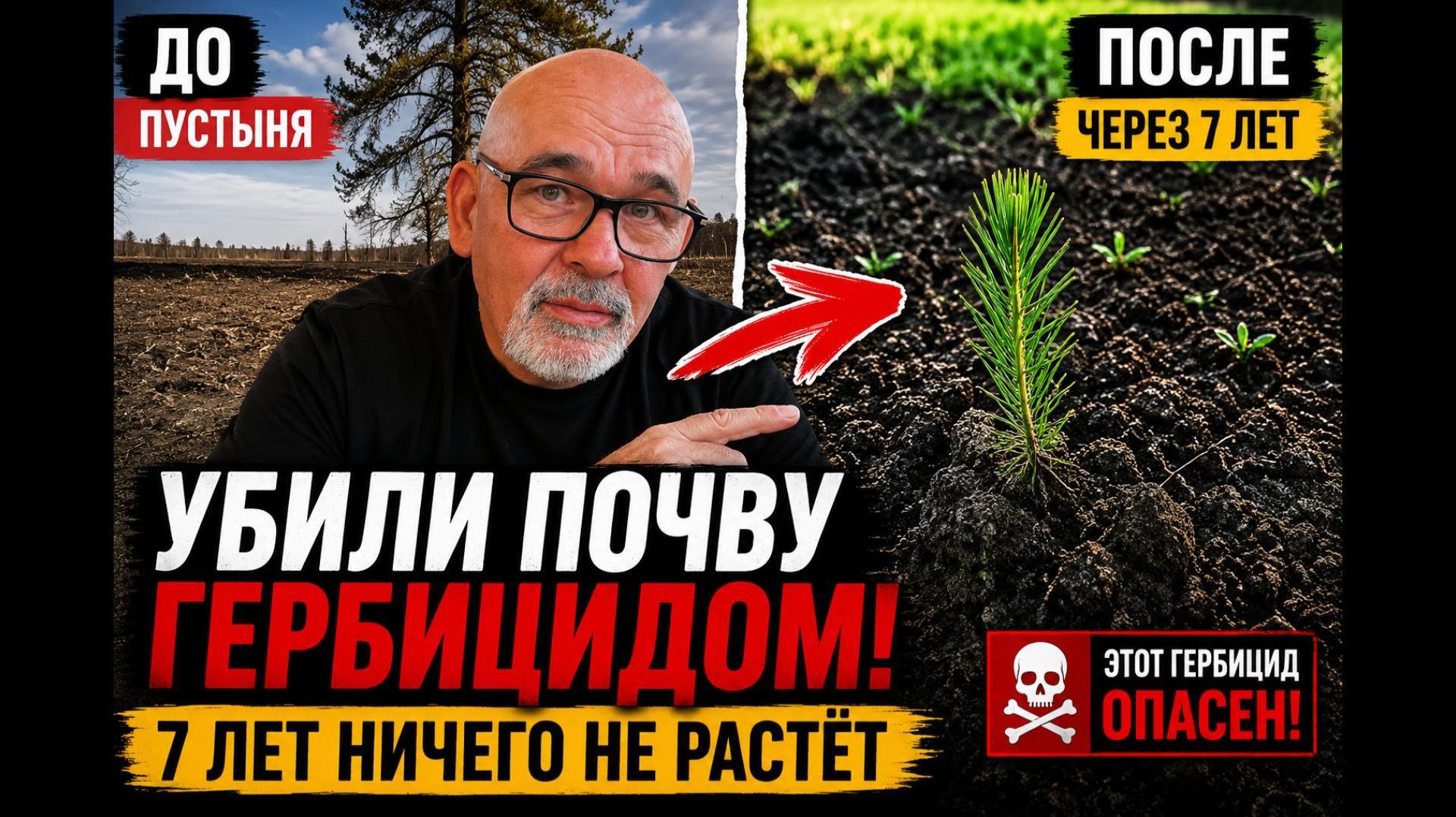 Убили почву гербицидом? Почему 7 лет ничего не растёт