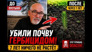 Убили почву гербицидом? Почему 7 лет ничего не растёт