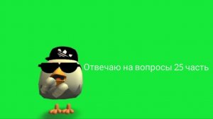 ОТВЕЧАЮ НА ВАШИ ВОПРОСЫ 25 ЧАСТЬ!