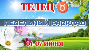 ТЕЛЕЦ ♉ Недельный расклад 01-07 ИЮНЯ/Таро Прогноз/Сферы жизни