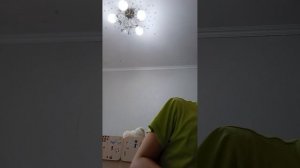 Открываем домик хаски