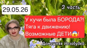 3 часть. Оказывается у кучи была БОРОДА❓️❗️Тяга к движению❗️Возможные ДЕТИ😱❗️