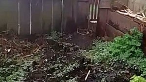 Всё в сером цвете!