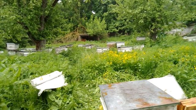 Всем Большое Спасибо смотреть онлайн
