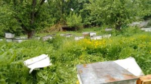 Всем Большое Спасибо