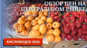 КИСЛОВОДСК 2026/ЦЕНЫ НА ПРОДУКТЫ/ЦЕНТРАЛЬНЫЙ РЫНОК ОБЗОР