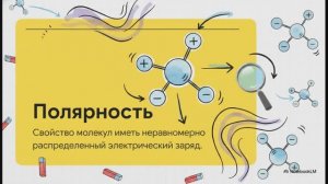 Биология 10 класс § 6 Неорганические вещества вода соли