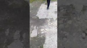 стрим