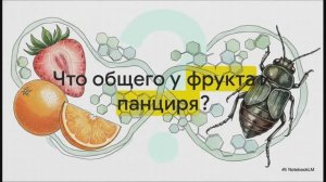 Биология 10 класс § 8 Углеводы, их строение и функции