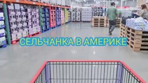 Сельчанка в Америке Шок-цены в Costco огромный обзор огромного магазина