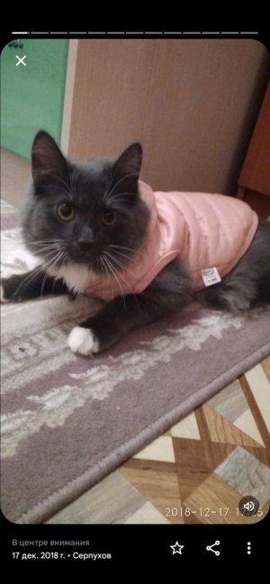 Рил ор кейк