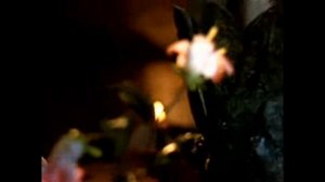 ФИЛЬМЫ НА ВЕЧЕР; Каменный цветок Возраст: 12+ Год: 1946 Качество: DVDRip(отличное)